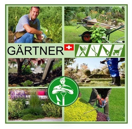 Logo des Unternehmens