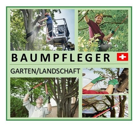Logo des Unternehmens