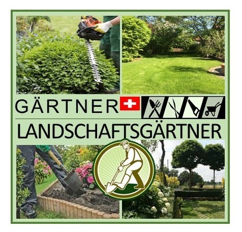 Logo des Unternehmens