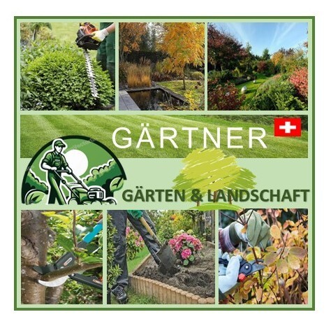 Logo des Unternehmens