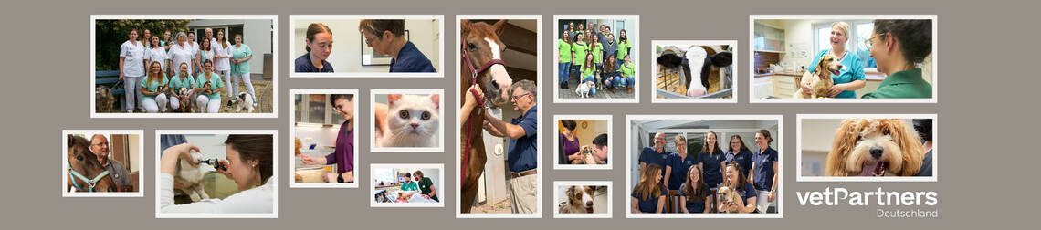 Logo des Unternehmens