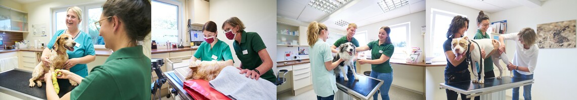 Logo des Unternehmens