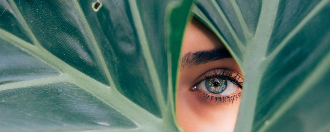 Logo des Unternehmens