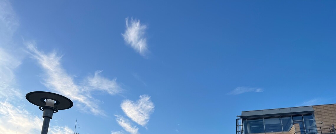 Logo des Unternehmens