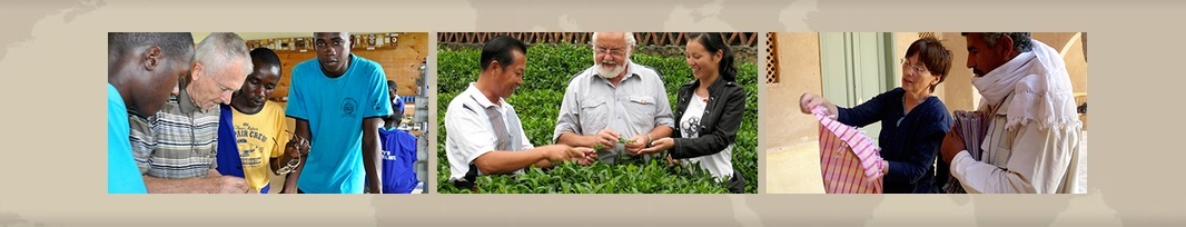 Logo des Unternehmens