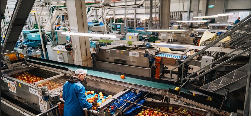 Diashow zum Marktauftritt und zur visuellen Identität des Unternehmens