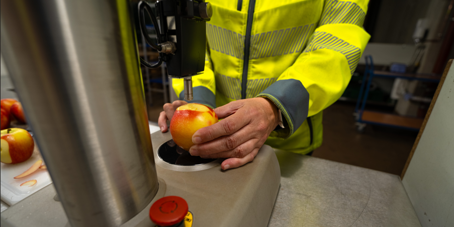 Diashow zum Marktauftritt und zur visuellen Identität des Unternehmens