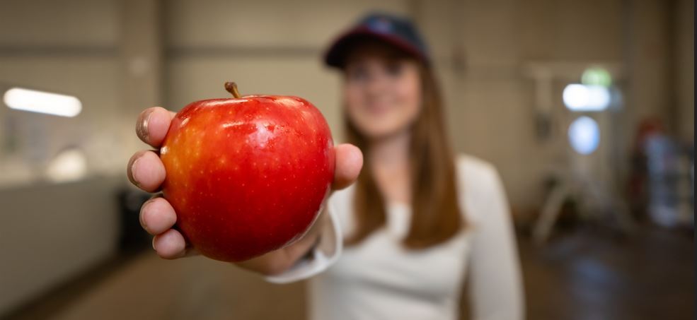 Diashow zum Marktauftritt und zur visuellen Identität des Unternehmens