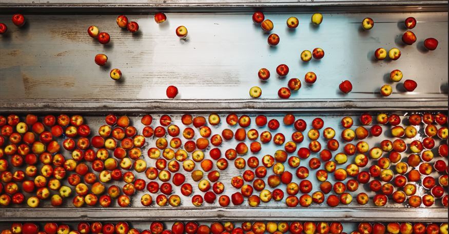 Diashow zum Marktauftritt und zur visuellen Identität des Unternehmens