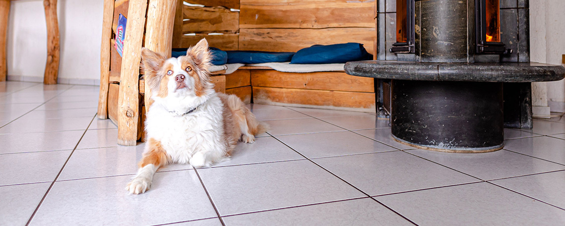 Logo des Unternehmens