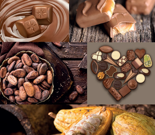 Diashow zum Marktauftritt und zur visuellen Identität des Unternehmens