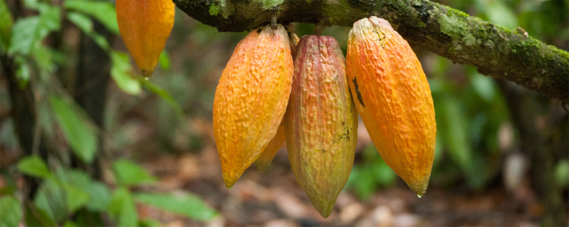 Diashow zum Marktauftritt und zur visuellen Identität des Unternehmens