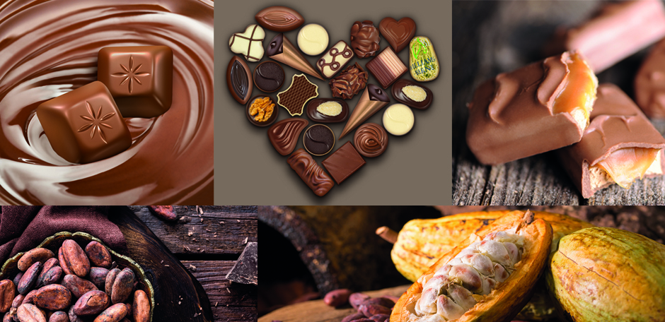 Diashow zum Marktauftritt und zur visuellen Identität des Unternehmens