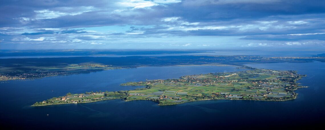 Logo des Unternehmens