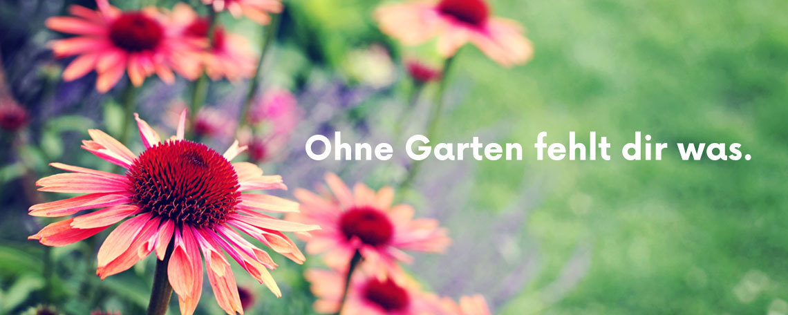 Logo des Unternehmens