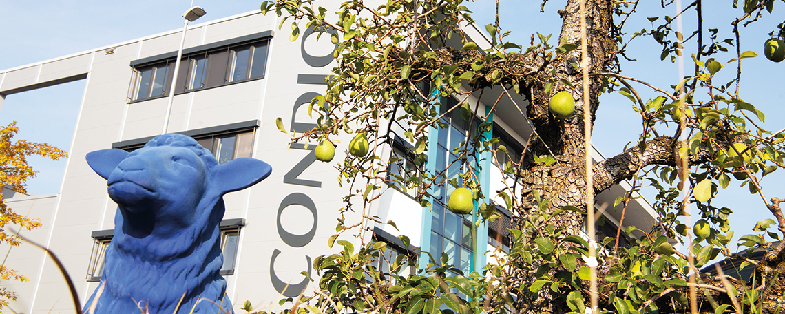 Diashow zum Marktauftritt und zur visuellen Identität des Unternehmens