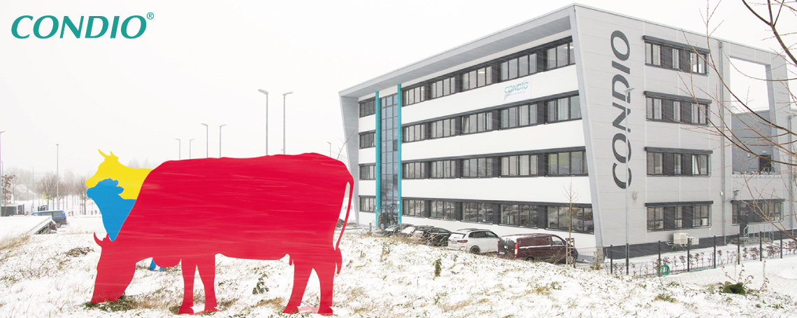 Diashow zum Marktauftritt und zur visuellen Identität des Unternehmens