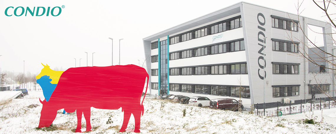 Diashow zum Marktauftritt und zur visuellen Identität des Unternehmens