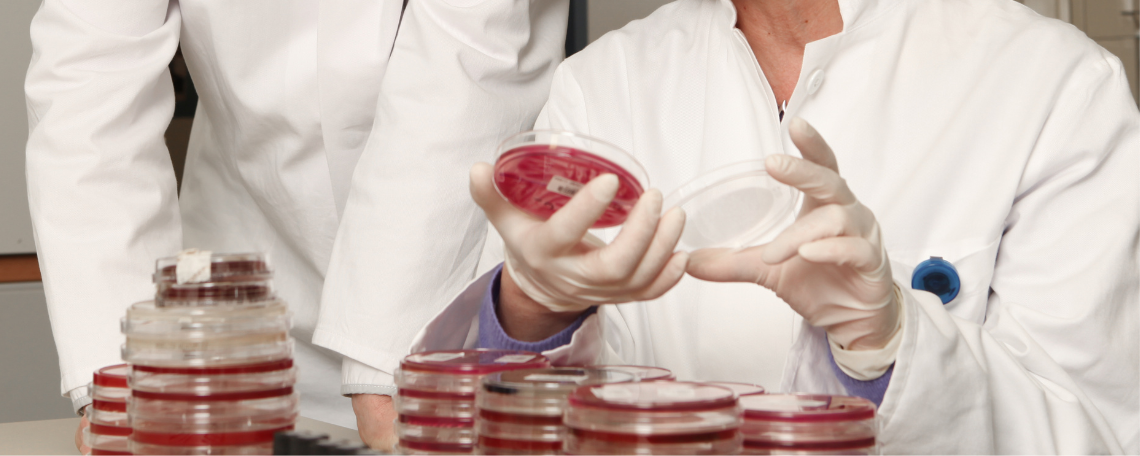 Diashow zum Marktauftritt und zur visuellen Identität des Unternehmens