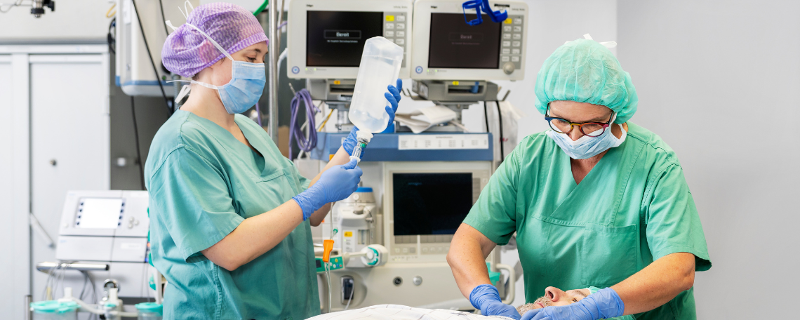 Diashow zum Marktauftritt und zur visuellen Identität des Unternehmens