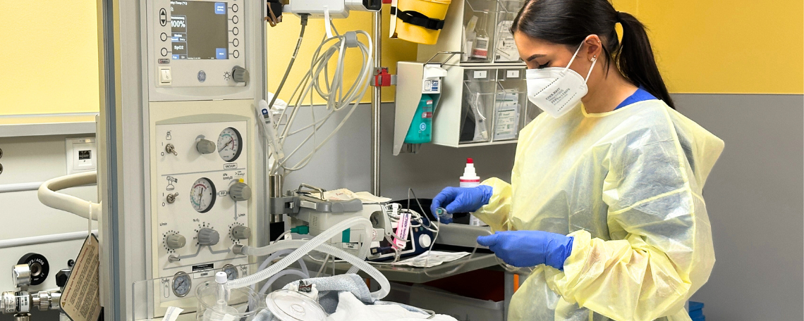 Diashow zum Marktauftritt und zur visuellen Identität des Unternehmens