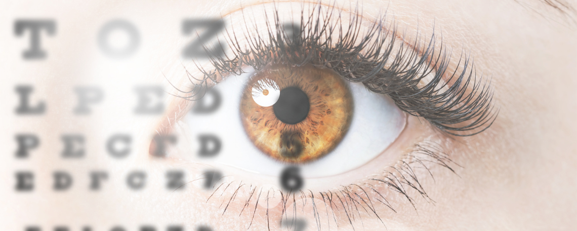 Diashow zum Marktauftritt und zur visuellen Identität des Unternehmens