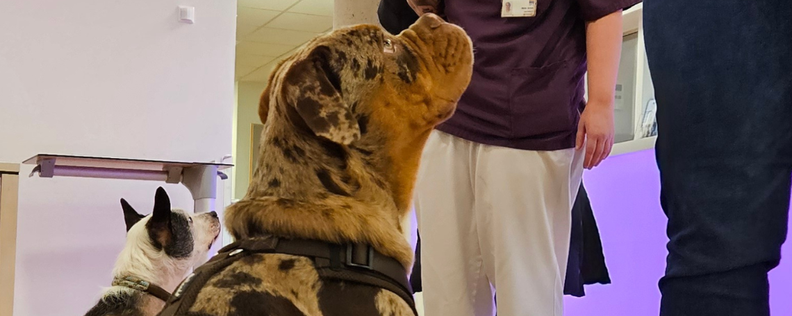 Diashow zum Marktauftritt und zur visuellen Identität des Unternehmens