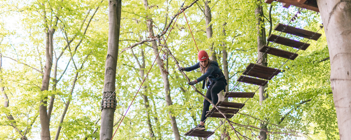 Diashow zum Marktauftritt und zur visuellen Identität des Unternehmens