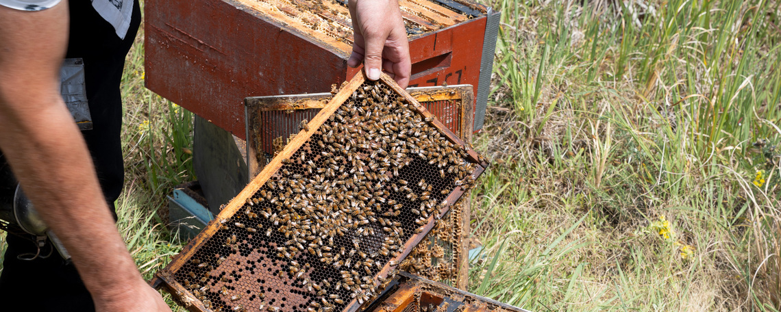 Logo des Unternehmens