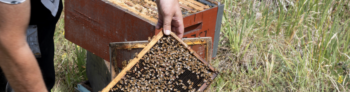 Logo des Unternehmens